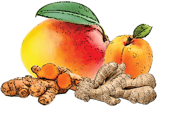 GEFU Ingwer- & Obstreibe Fruttare ➤ vom Fachhändler